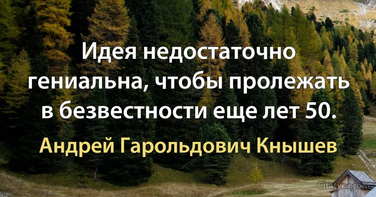 Идея недостаточно гениальна, чтобы пролежать в безвестности еще лет 50. (Андрей Гарольдович Кнышев)