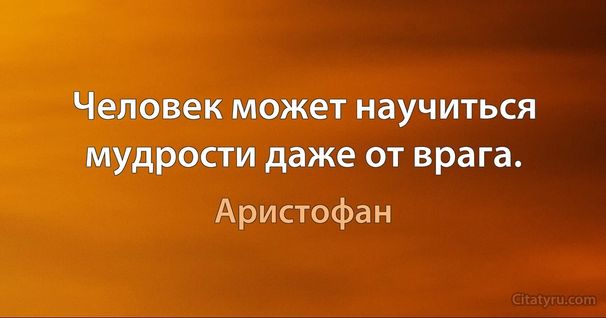 Человек может научиться мудрости даже от врага. (Аристофан)