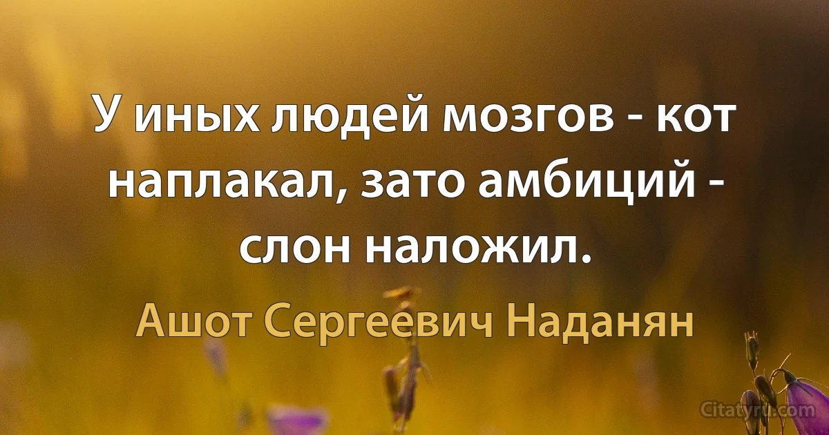 У иных людей мозгов - кот наплакал, зато амбиций - слон наложил. (Ашот Сергеевич Наданян)