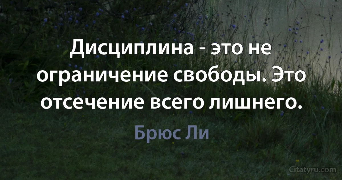 Дисциплина - это не ограничение свободы. Это отсечение всего лишнего. (Брюс Ли)