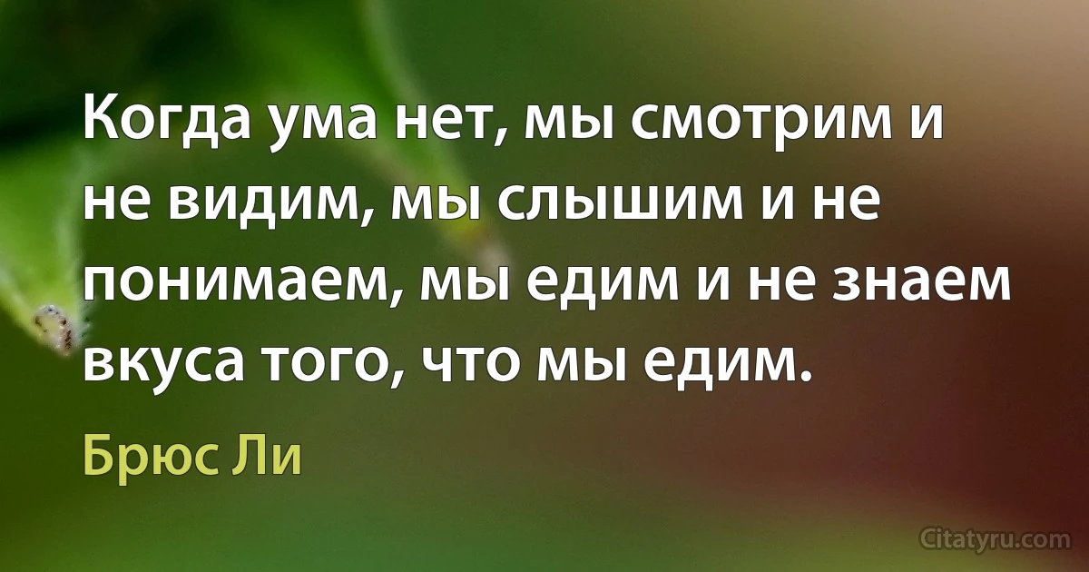 Когда ума нет, мы смотрим и не видим, мы слышим и не понимаем, мы едим и не знаем вкуса того, что мы едим. (Брюс Ли)