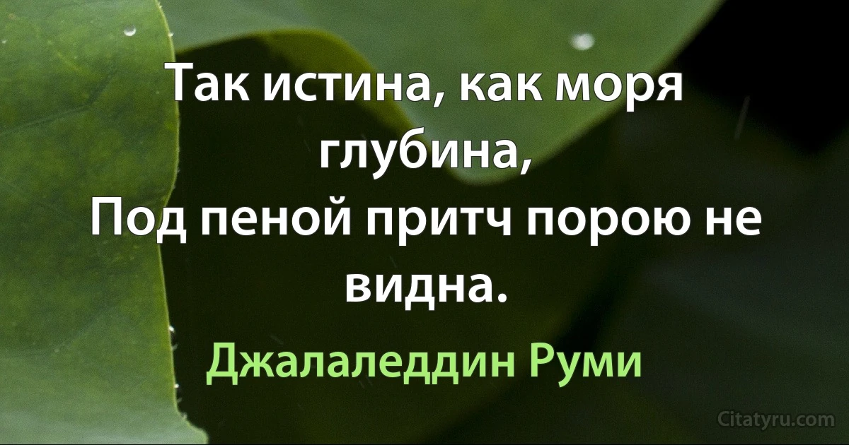 Так истина, как моря глубина,
Под пеной притч порою не видна. (Джалаледдин Руми)