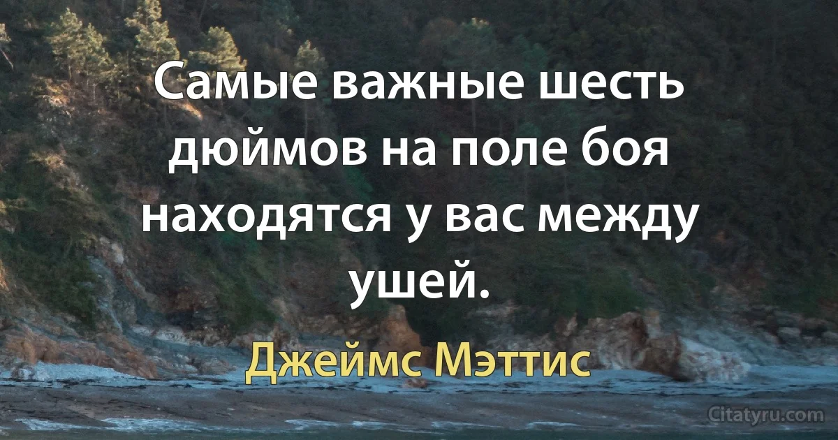 Самые важные шесть дюймов на поле боя находятся у вас между ушей. (Джеймс Мэттис)