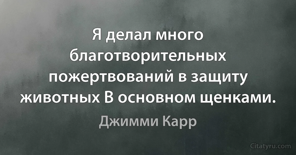 Я делал много благотворительных пожертвований в защиту животных В основном щенками. (Джимми Карр)