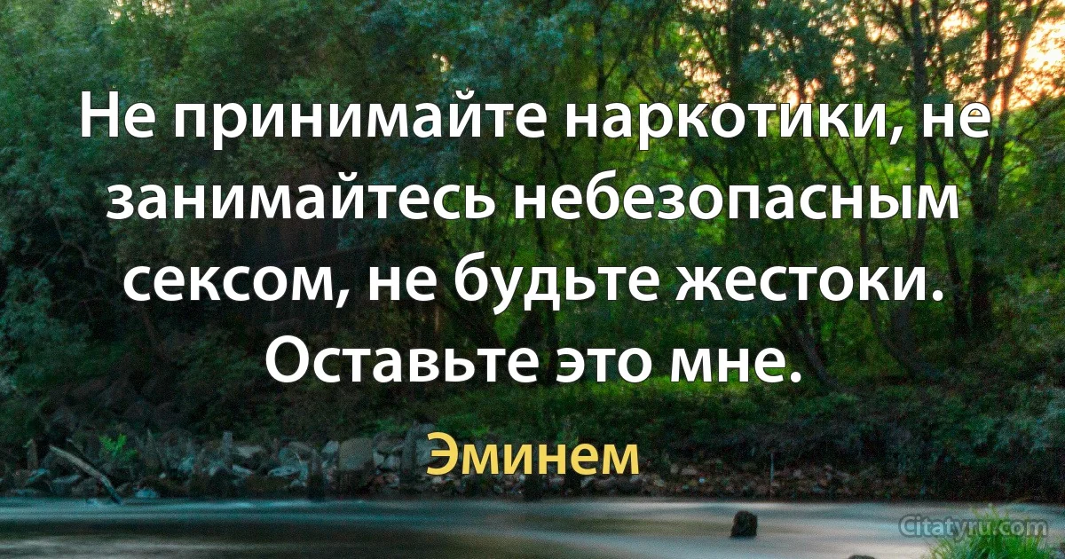 Не принимайте наркотики, не занимайтесь небезопасным сексом, не будьте жестоки. Оставьте это мне. (Эминем)