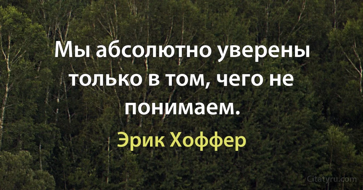 Мы абсолютно уверены только в том, чего не понимаем. (Эрик Хоффер)