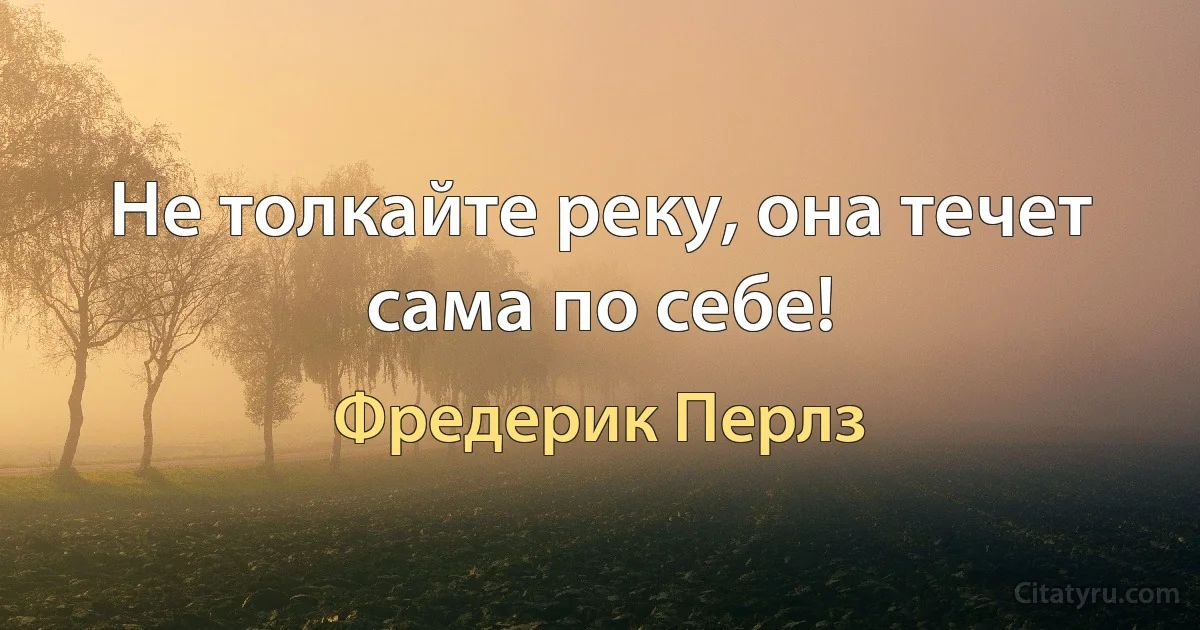 Не толкайте реку, она течет сама по себе! (Фредерик Перлз)