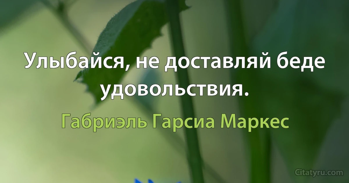 Улыбайся, не доставляй беде удовольствия. (Габриэль Гарсиа Маркес)