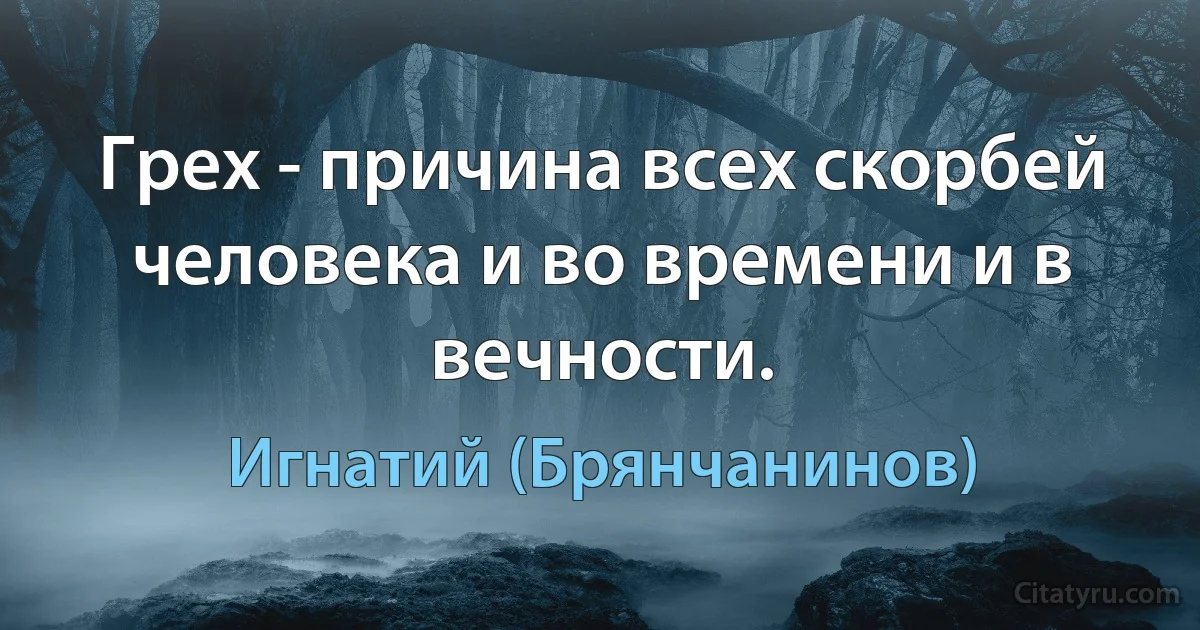 Грех - причина всех скорбей человека и во времени и в вечности. (Игнатий (Брянчанинов))