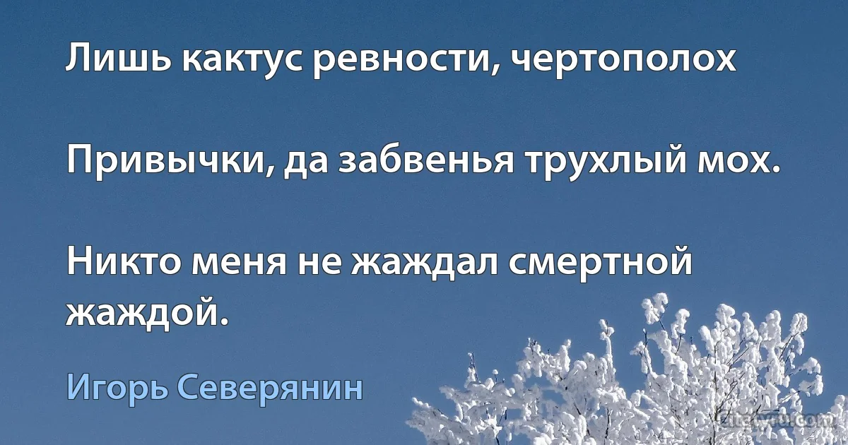 Лишь кактус ревности, чертополох

Привычки, да забвенья трухлый мох.

Никто меня не жаждал смертной жаждой. (Игорь Северянин)