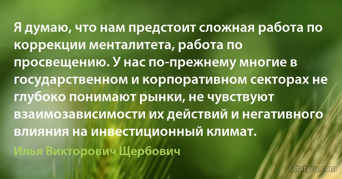 Я думаю, что нам предстоит сложная работа по коррекции менталитета, работа по просвещению. У нас по-прежнему многие в государственном и корпоративном секторах не глубоко понимают рынки, не чувствуют взаимозависимости их действий и негативного влияния на инвестиционный климат. (Илья Викторович Щербович)