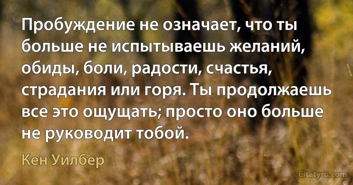 Пробуждение не означает, что ты больше не испытываешь желаний, обиды, боли, радости, счастья, страдания или горя. Ты продолжаешь все это ощущать; просто оно больше не руководит тобой. (Кен Уилбер)