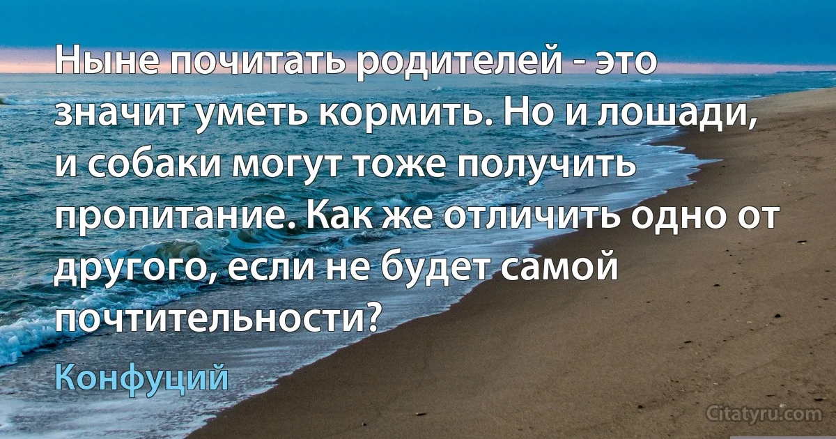 Ныне почитать родителей - это значит уметь кормить. Но и лошади, и собаки могут тоже получить пропитание. Как же отличить одно от другого, если не будет самой почтительности? (Конфуций)