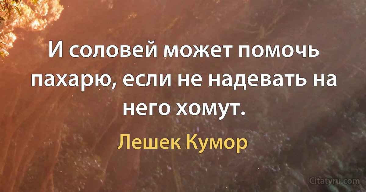 И соловей может помочь пахарю, если не надевать на него хомут. (Лешек Кумор)