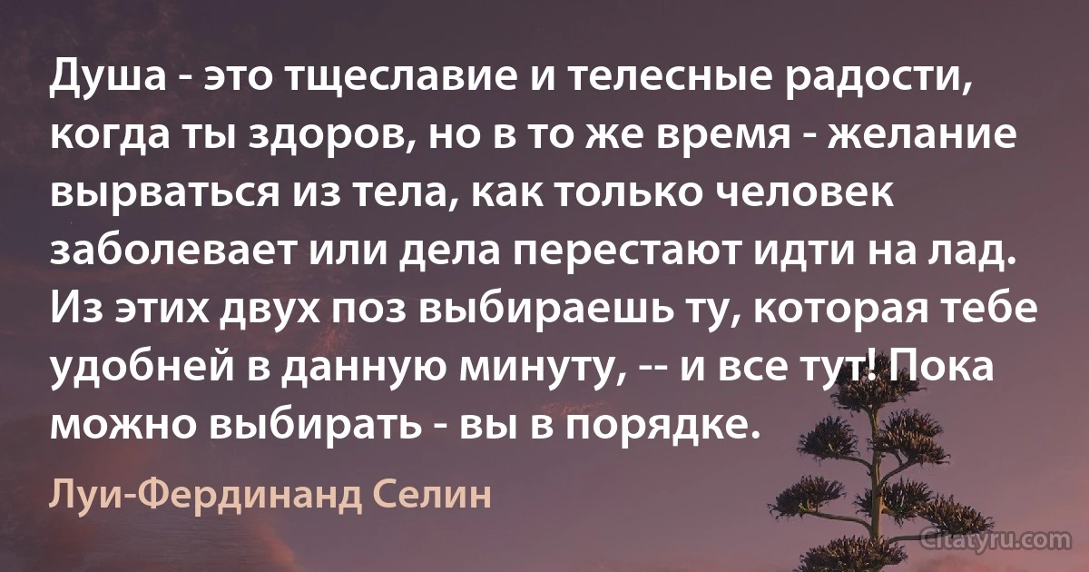 Душа - это тщеславие и телесные радости, когда ты здоров, но в то же время - желание вырваться из тела, как только человек заболевает или дела перестают идти на лад. Из этих двух поз выбираешь ту, которая тебе удобней в данную минуту, -- и все тут! Пока можно выбирать - вы в порядке. (Луи-Фердинанд Селин)