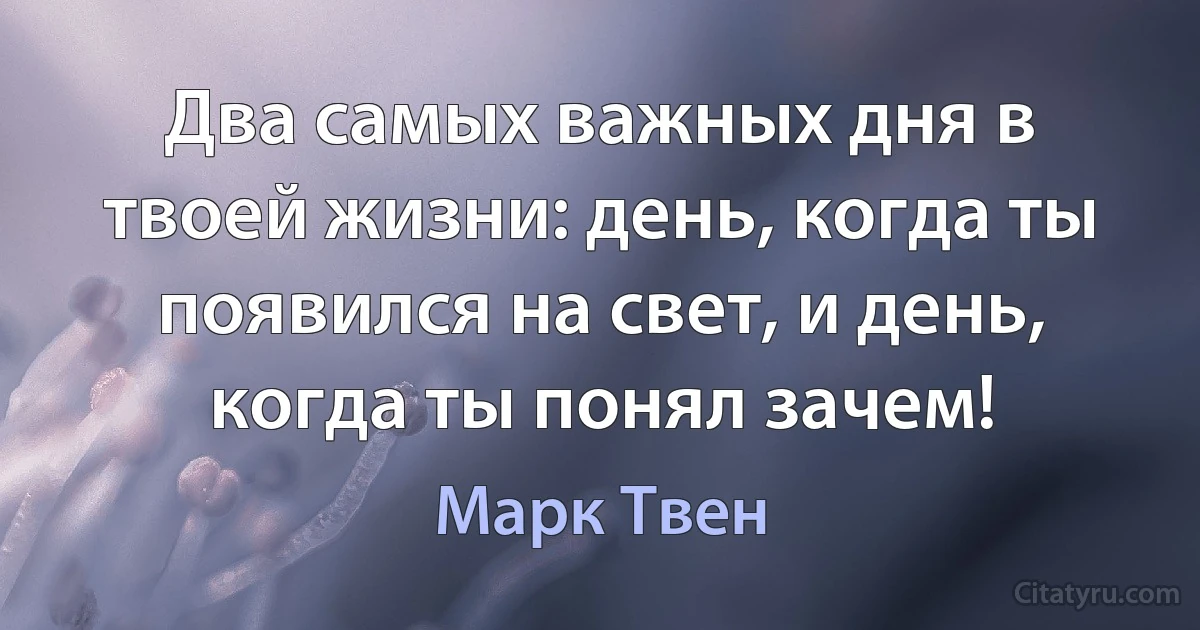 Два самых важных дня в твоей жизни: день, когда ты появился на свет, и день, когда ты понял зачем! (Марк Твен)