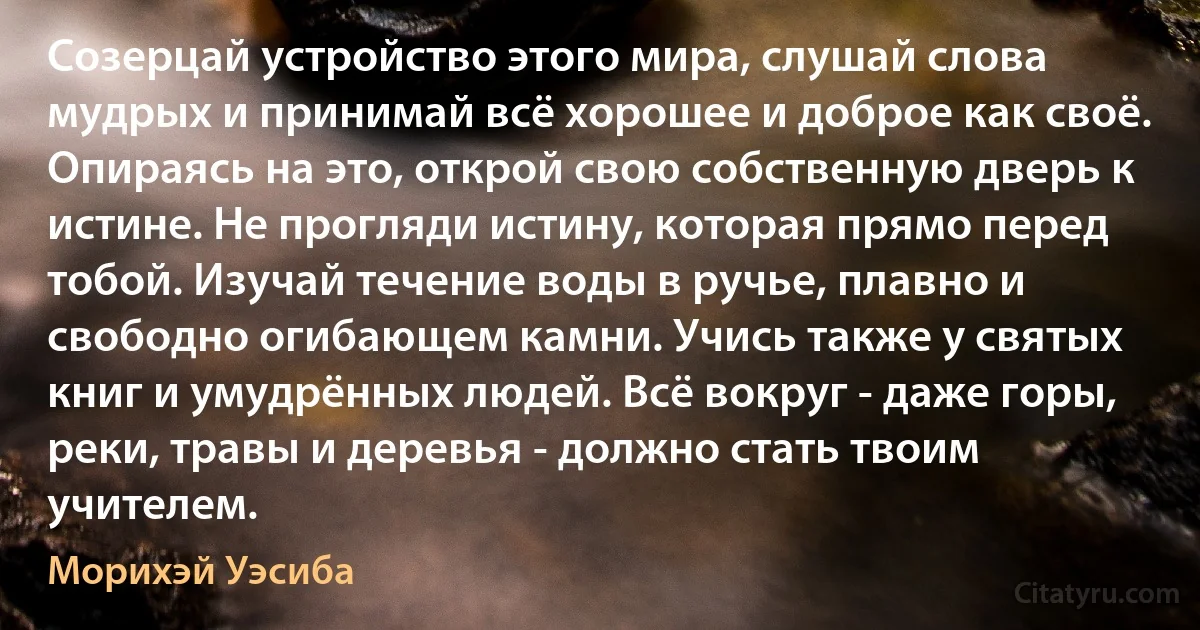 Созерцай устройство этого мира, слушай слова мудрых и принимай всё хорошее и доброе как своё. Опираясь на это, открой свою собственную дверь к истине. Не прогляди истину, которая прямо перед тобой. Изучай течение воды в ручье, плавно и свободно огибающем камни. Учись также у святых книг и умудрённых людей. Всё вокруг - даже горы, реки, травы и деревья - должно стать твоим учителем. (Морихэй Уэсиба)