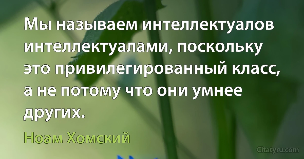 Мы называем интеллектуалов интеллектуалами, поскольку это привилегированный класс, а не потому что они умнее других. (Ноам Хомский)