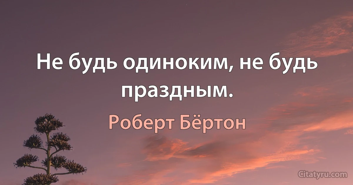 Не будь одиноким, не будь праздным. (Роберт Бёртон)