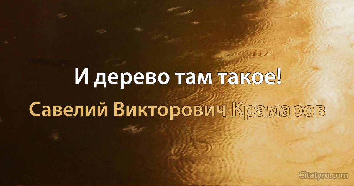 И дерево там такое! (Савелий Викторович Крамаров)