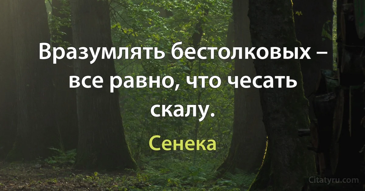 Вразумлять бестолковых – все равно, что чесать скалу. (Сенека)