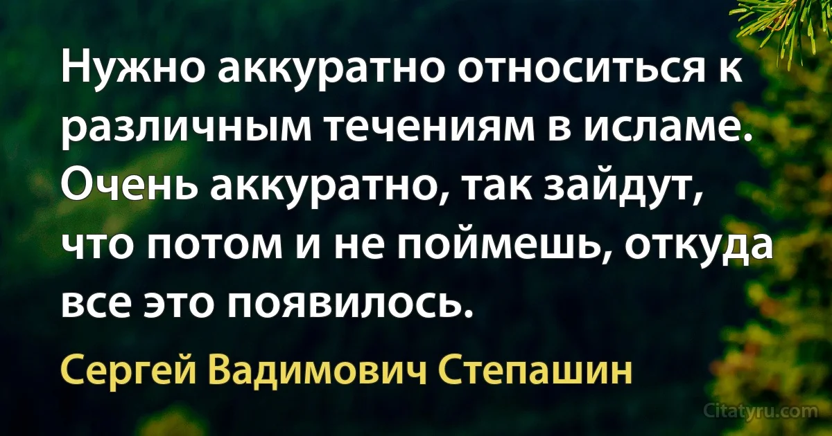 Нужно аккуратно относиться к различным течениям в исламе. Очень аккуратно, так зайдут, что потом и не поймешь, откуда все это появилось. (Сергей Вадимович Степашин)