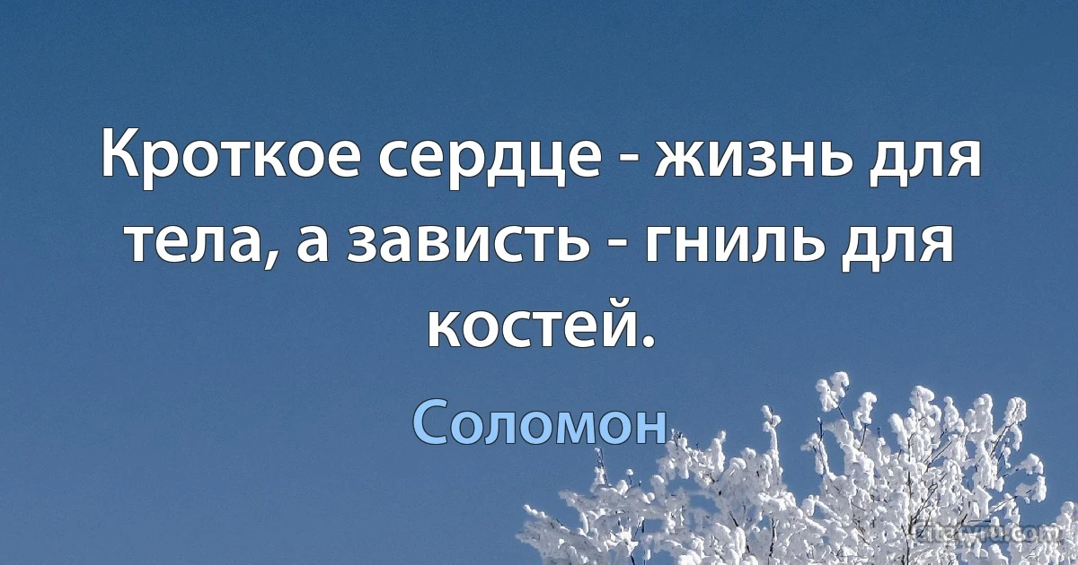 Кроткое сердце - жизнь для тела, а зависть - гниль для костей. (Соломон)