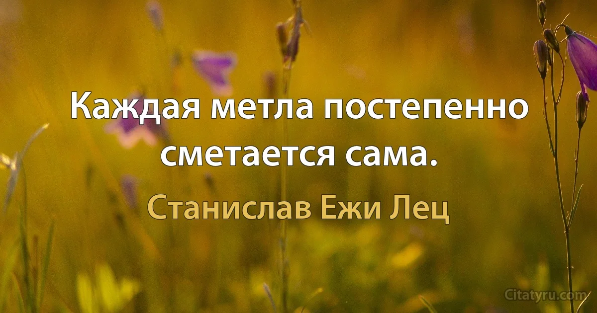 Каждая метла постепенно сметается сама. (Станислав Ежи Лец)