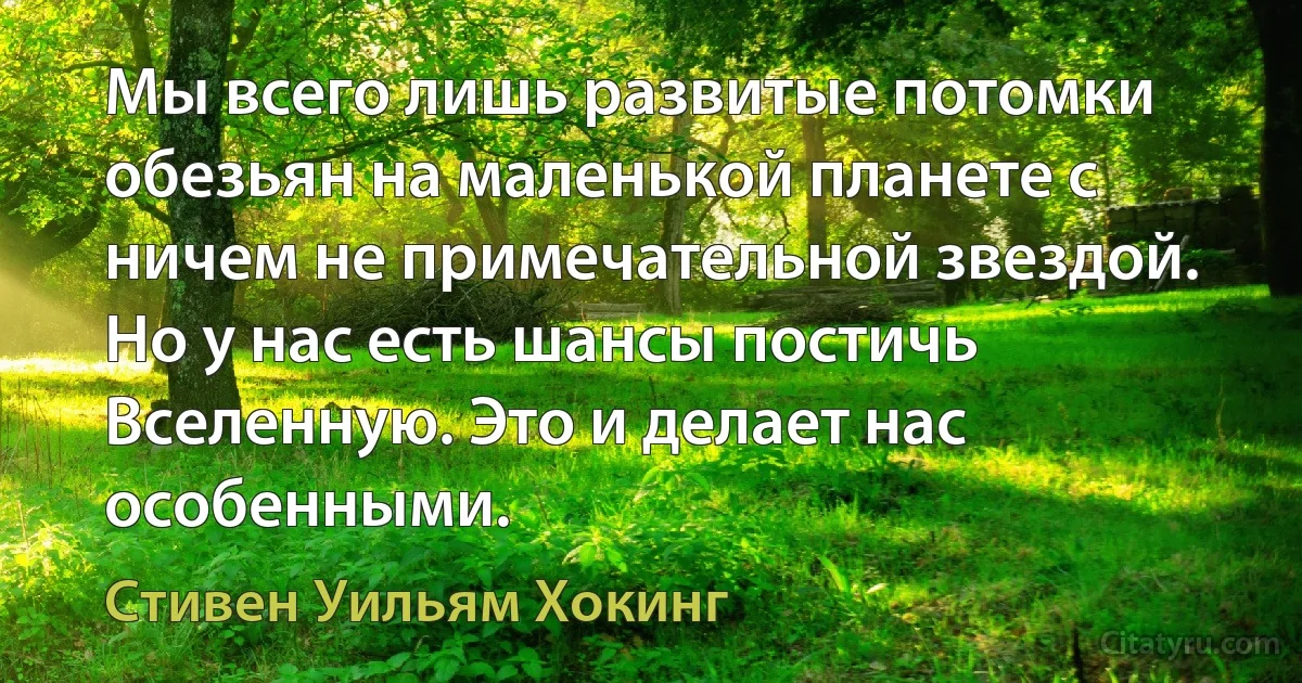 Мы всего лишь развитые потомки обезьян на маленькой планете с ничем не примечательной звездой. Но у нас есть шансы постичь Вселенную. Это и делает нас особенными. (Стивен Уильям Хокинг)