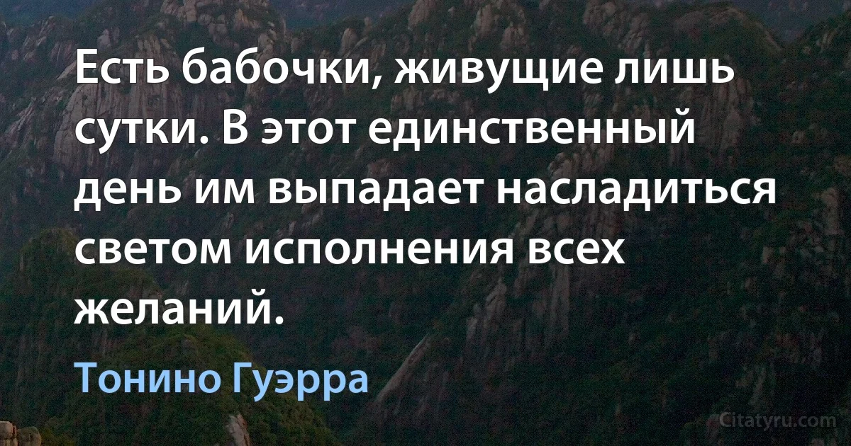 Есть бабочки, живущие лишь сутки. В этот единственный день им выпадает насладиться светом исполнения всех желаний. (Тонино Гуэрра)