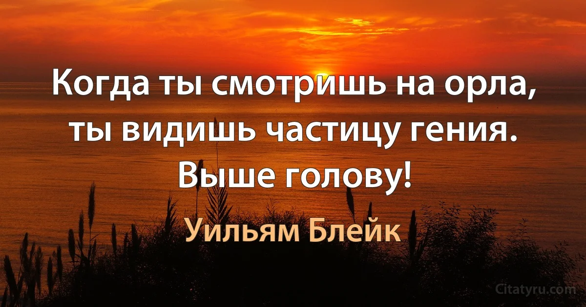 Когда ты смотришь на орла, ты видишь частицу гения. Выше голову! (Уильям Блейк)