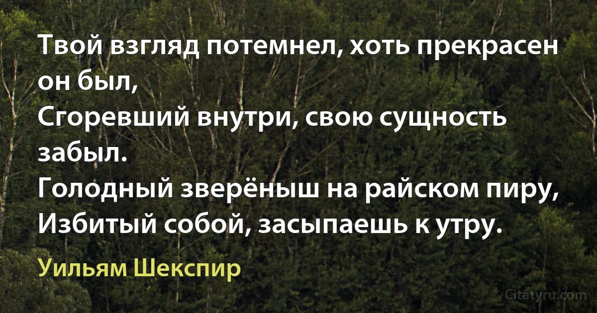 Твой взгляд потемнел, хоть прекрасен он был,
Сгоревший внутри, свою сущность забыл.
Голодный зверёныш на райском пиру,
Избитый собой, засыпаешь к утру. (Уильям Шекспир)