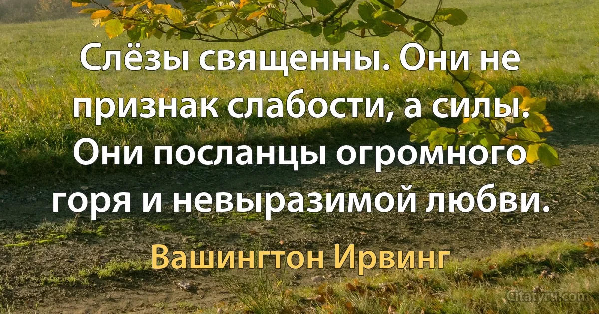 Слёзы священны. Они не признак слабости, а силы. Они посланцы огромного горя и невыразимой любви. (Вашингтон Ирвинг)