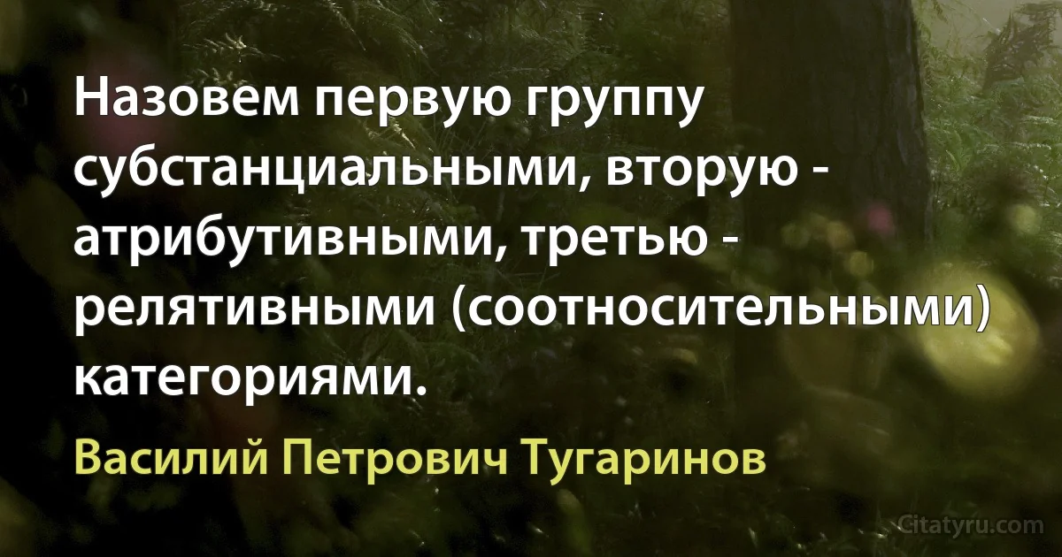 Назовем первую группу субстанциальными, вторую - атрибутивными, третью - релятивными (соотносительными) категориями. (Василий Петрович Тугаринов)