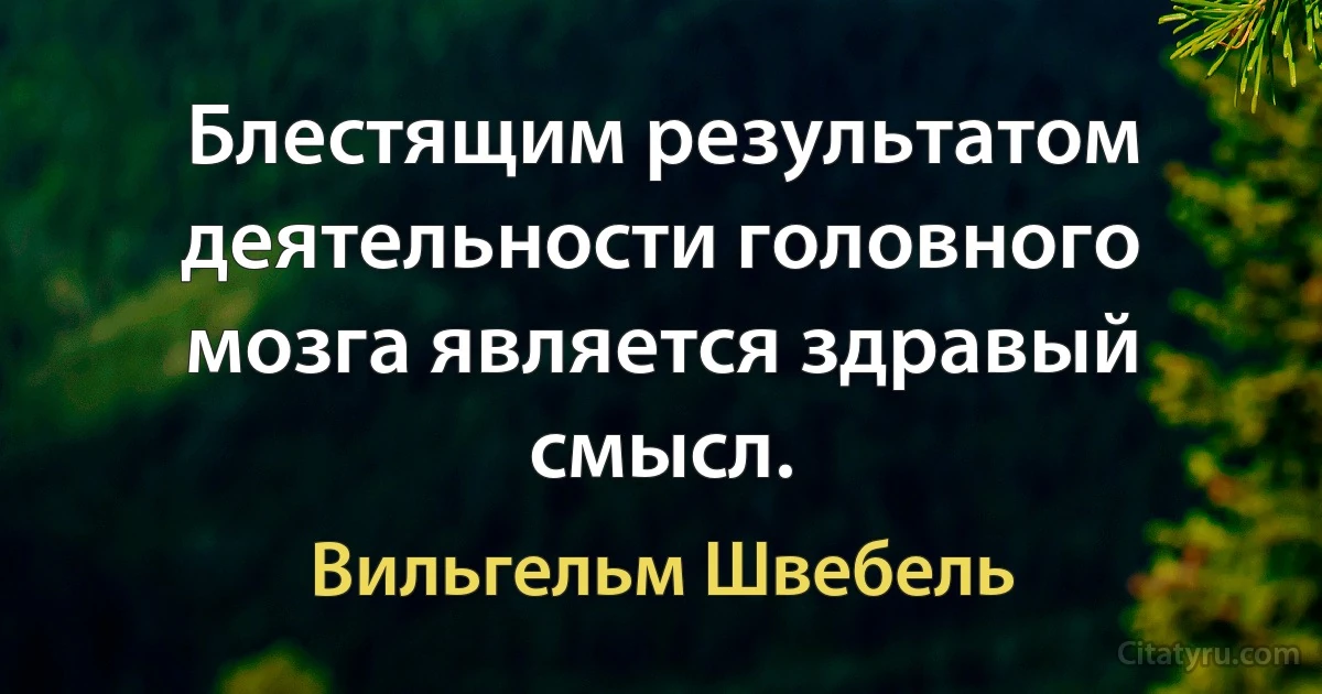 Блестящим результатом деятельности головного мозга является здравый смысл. (Вильгельм Швебель)