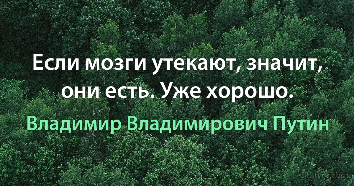 Если мозги утекают, значит, они есть. Уже хорошо. (Владимир Владимирович Путин)