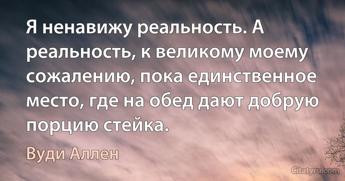 Я ненавижу реальность. А реальность, к великому моему сожалению, пока единственное место, где на обед дают добрую порцию стейка. (Вуди Аллен)