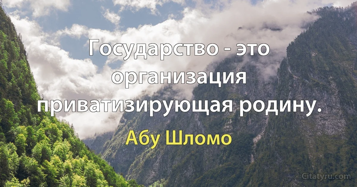 Государство - это организация приватизирующая родину. (Абу Шломо)