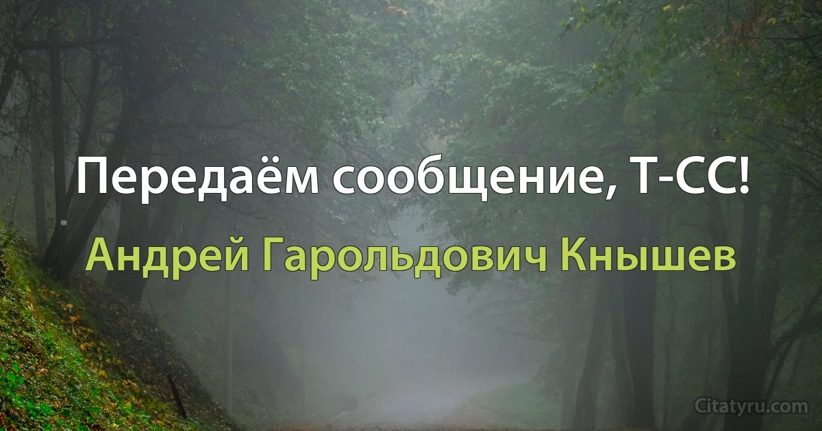 Передаём сообщение, Т-СС! (Андрей Гарольдович Кнышев)