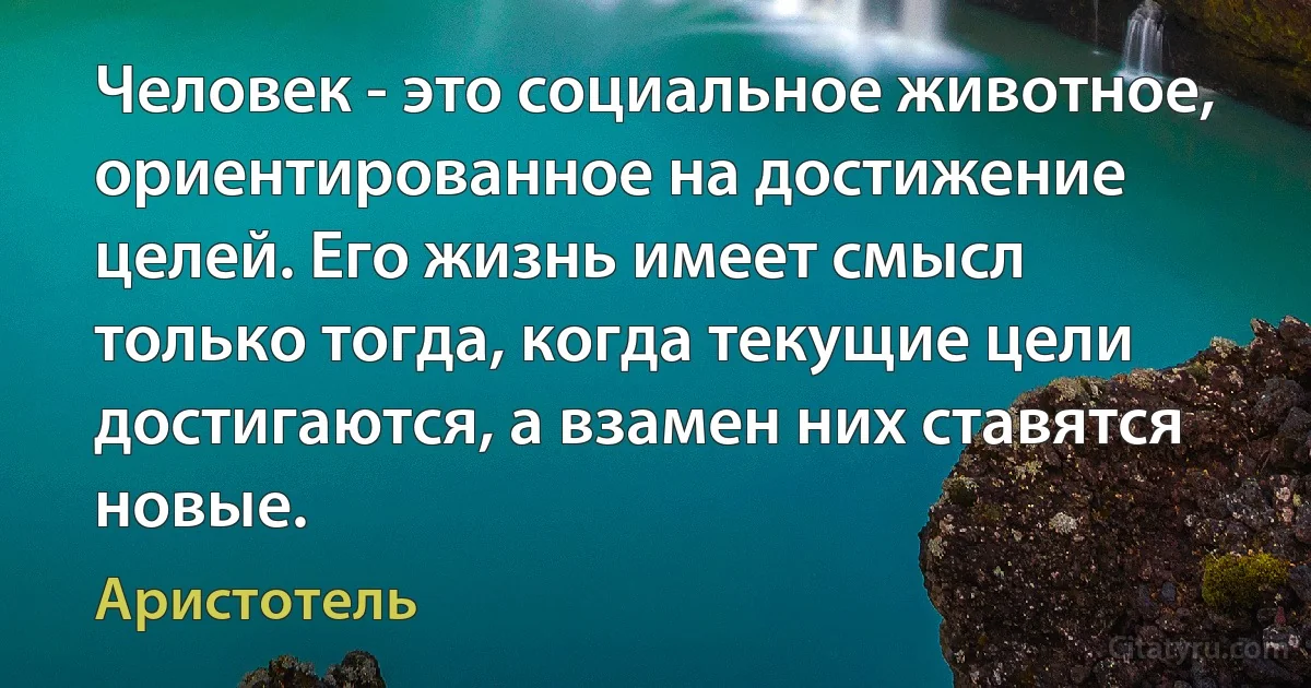 Человек - это социальное животное, ориентированное на достижение целей. Его жизнь имеет смысл только тогда, когда текущие цели достигаются, а взамен них ставятся новые. (Аристотель)