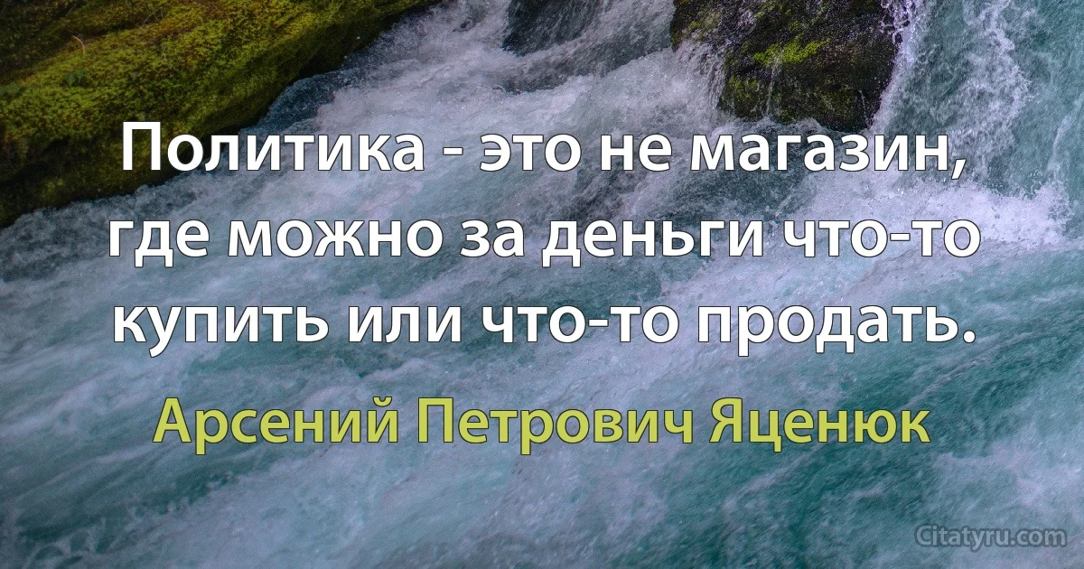 Политика - это не магазин, где можно за деньги что-то купить или что-то продать. (Арсений Петрович Яценюк)