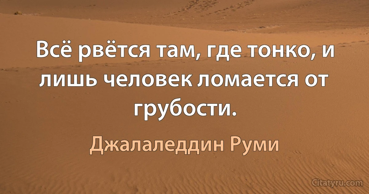 Всё рвётся там, где тонко, и лишь человек ломается от грубости. (Джалаледдин Руми)