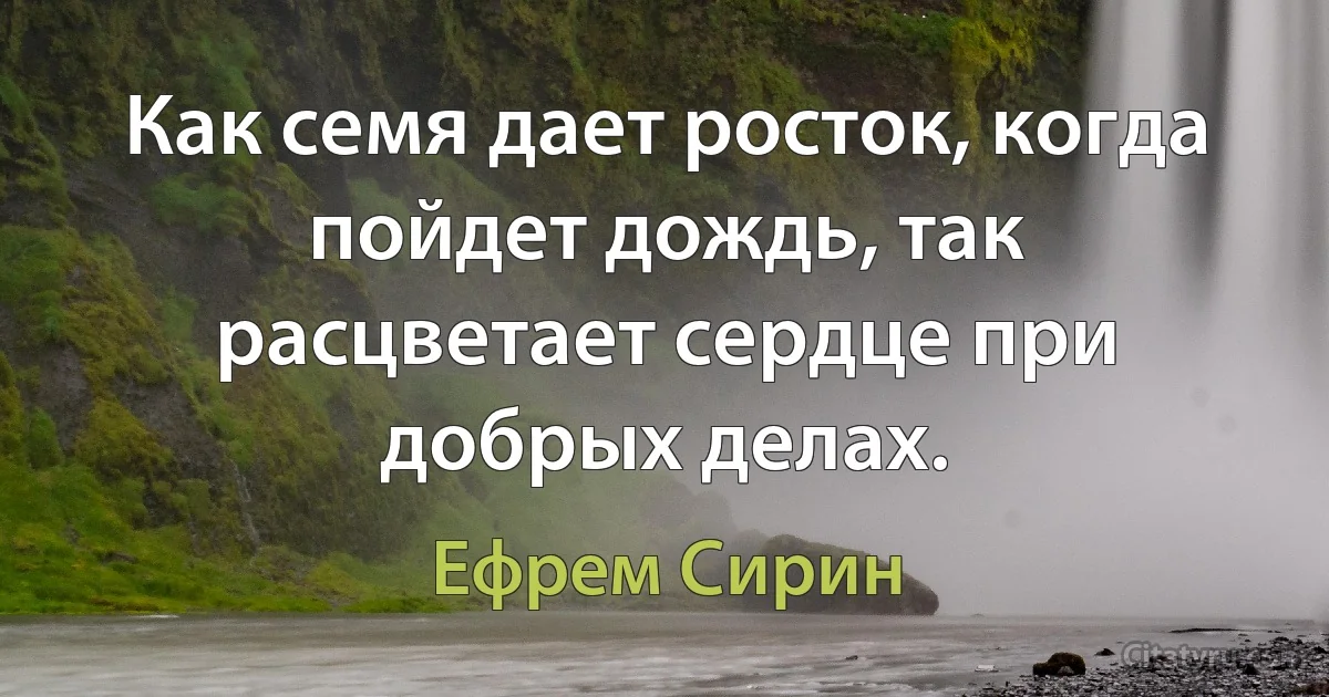 Как семя дает росток, когда пойдет дождь, так расцветает сердце при добрых делах. (Ефрем Сирин)