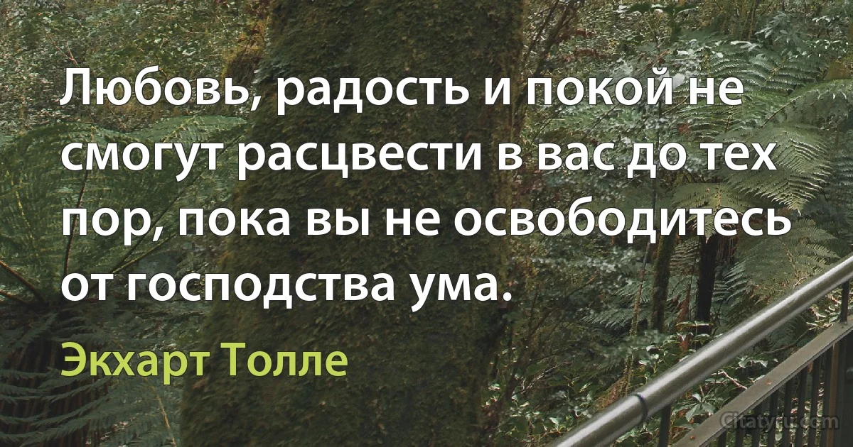 Любовь, радость и покой не смогут расцвести в вас до тех пор, пока вы не освободитесь от господства ума. (Экхарт Толле)