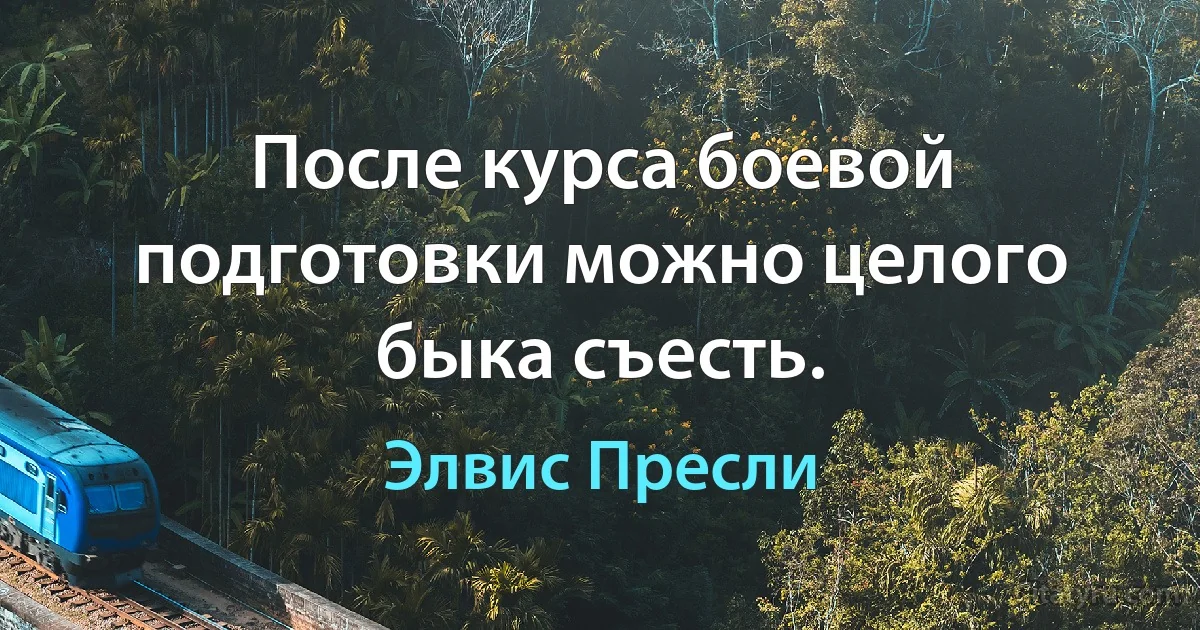 После курса боевой подготовки можно целого быка съесть. (Элвис Пресли)