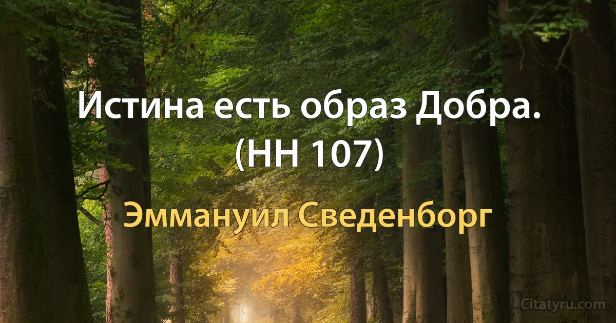 Истина есть образ Добра. (HH 107) (Эммануил Сведенборг)