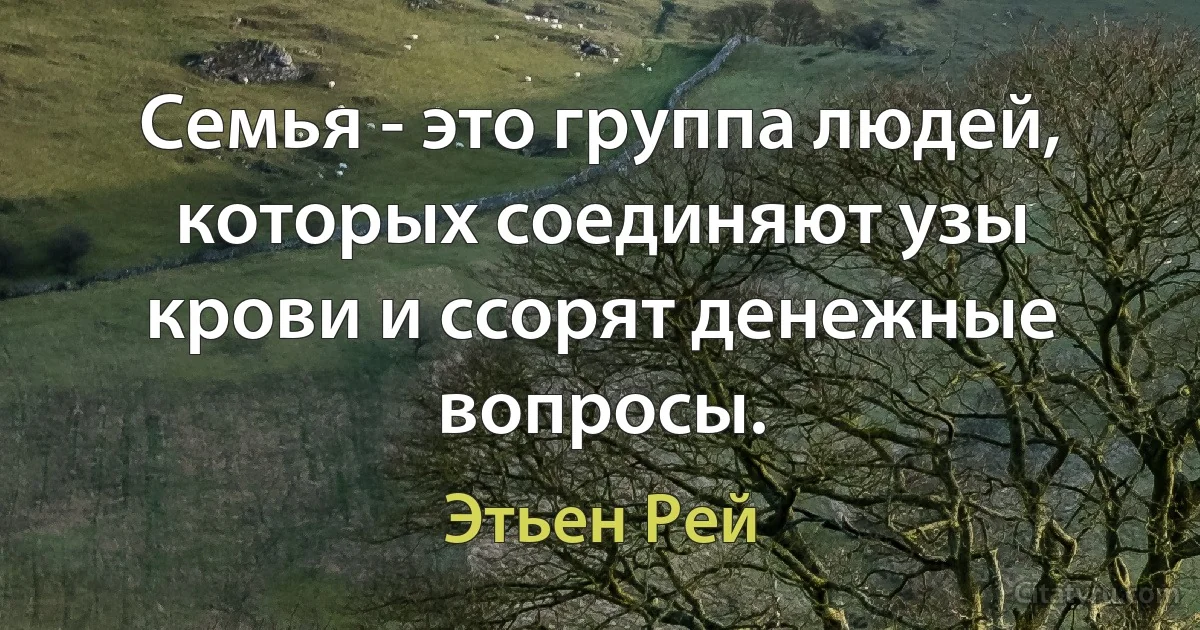 Семья - это группа людей, которых соединяют узы крови и ссорят денежные вопросы. (Этьен Рей)