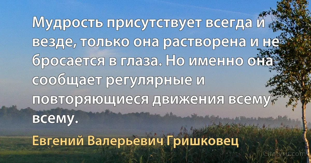 Мудрость присутствует всегда и везде, только она растворена и не бросается в глаза. Но именно она сообщает регулярные и повторяющиеся движения всему всему. (Евгений Валерьевич Гришковец)