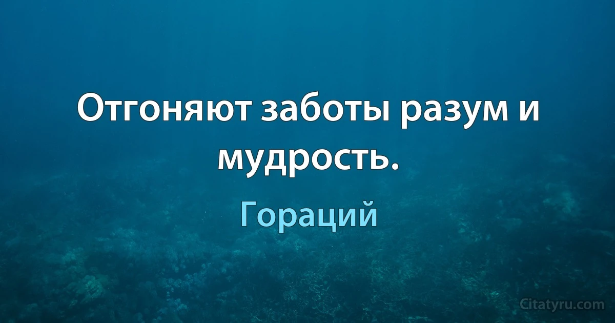 Отгоняют заботы разум и мудрость. (Гораций)