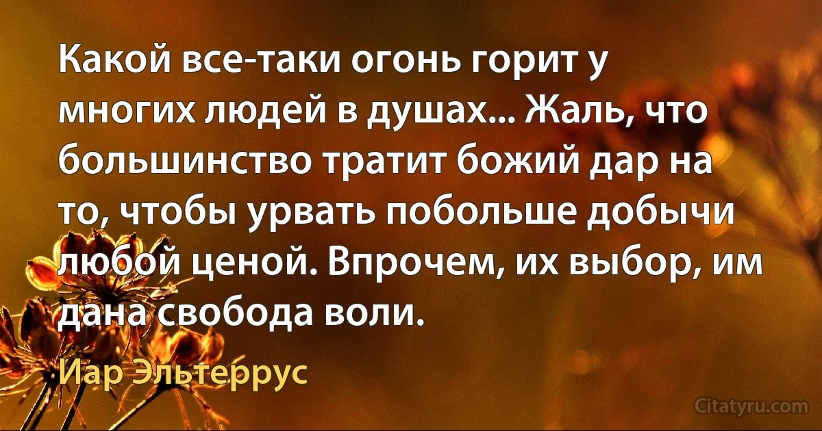 Какой все-таки огонь горит у многих людей в душах... Жаль, что большинство тратит божий дар на то, чтобы урвать побольше добычи любой ценой. Впрочем, их выбор, им дана свобода воли. (Иар Эльтеррус)